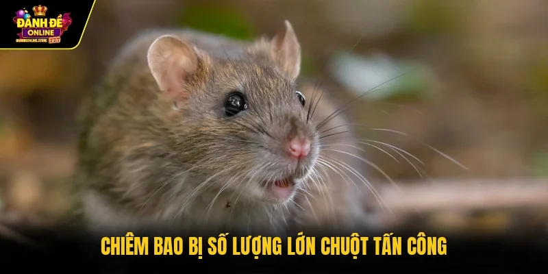 Chiêm bao bị số lượng lớn chuột tấn công