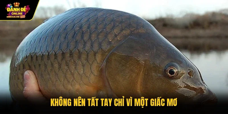 Không nên tất tay chỉ vì một giấc mơ